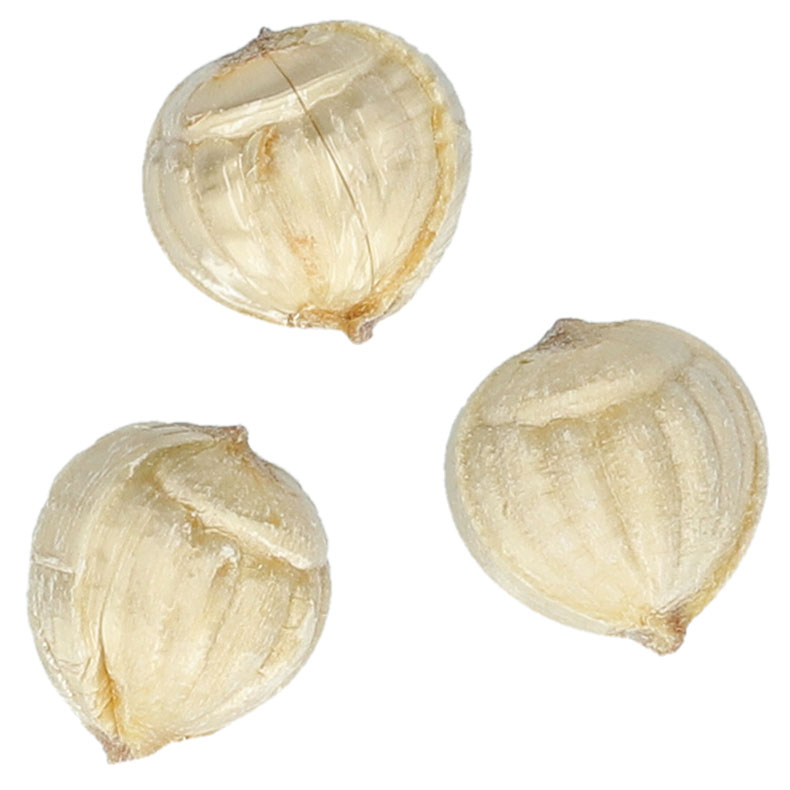 Küfa Goldnüsse 1,5kg