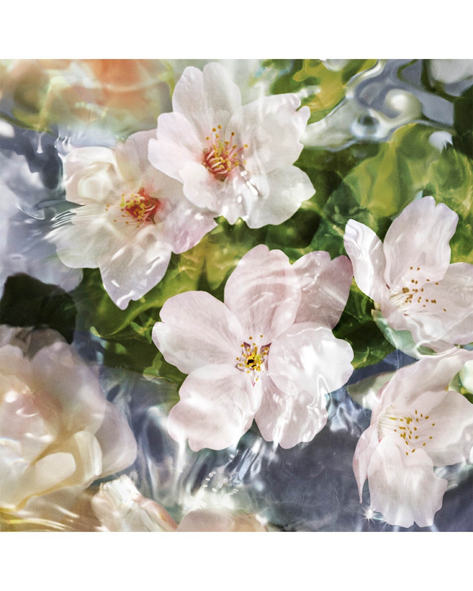 GUERLAIN aqua allegoria FLORA CHERRYSIA - EAU DE TOILETTE
