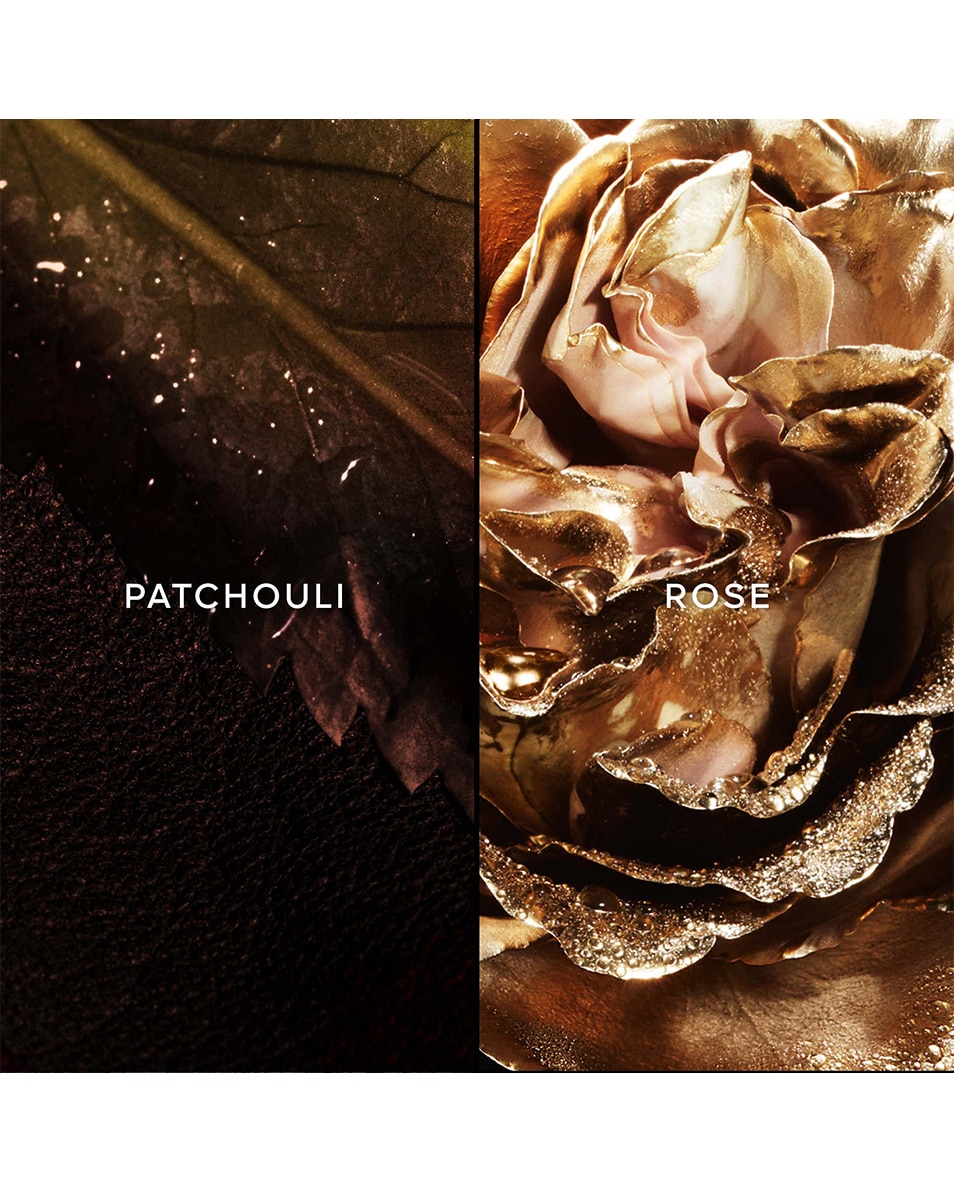 GUERLAIN les absolus d'orient PATCHOULI ARDENT