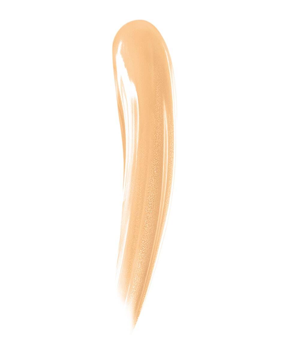 mister instant corrective pen CONCEALER