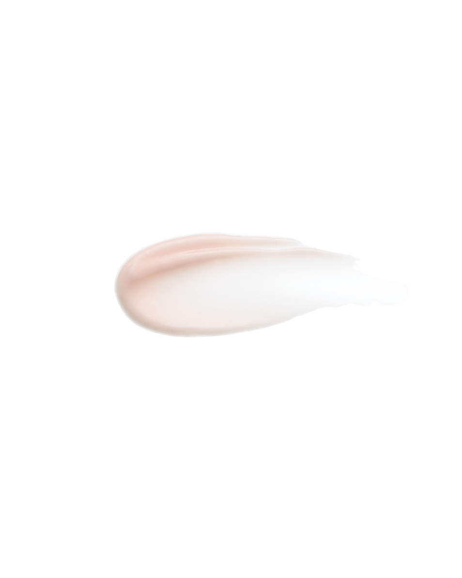 sublime perfection PRIMER