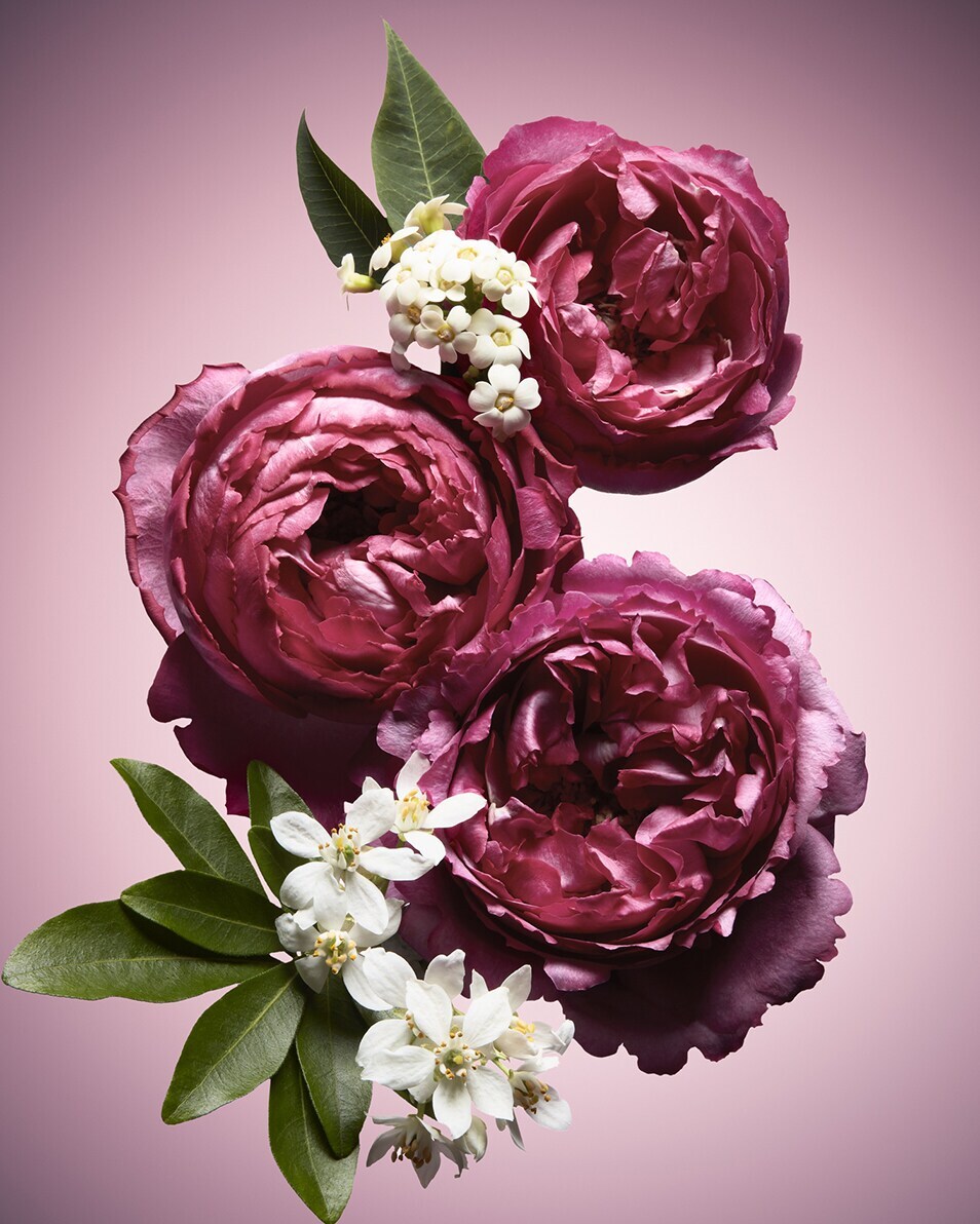 flowerbomb nectar EAU DE PARFUM INTENSE