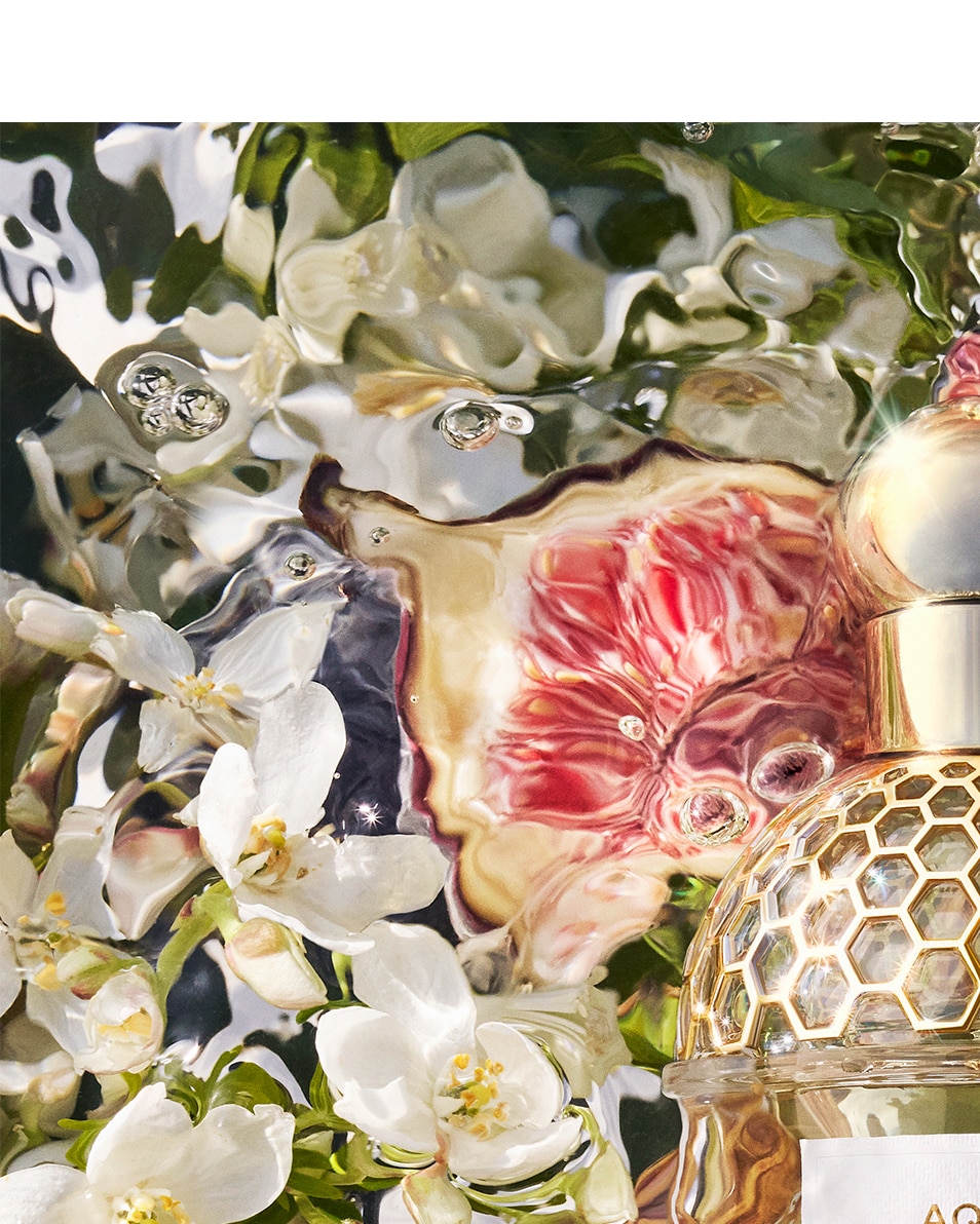 GUERLAIN aqua allegoria NEROLIA VETIVER - EAU DE TOILETTE