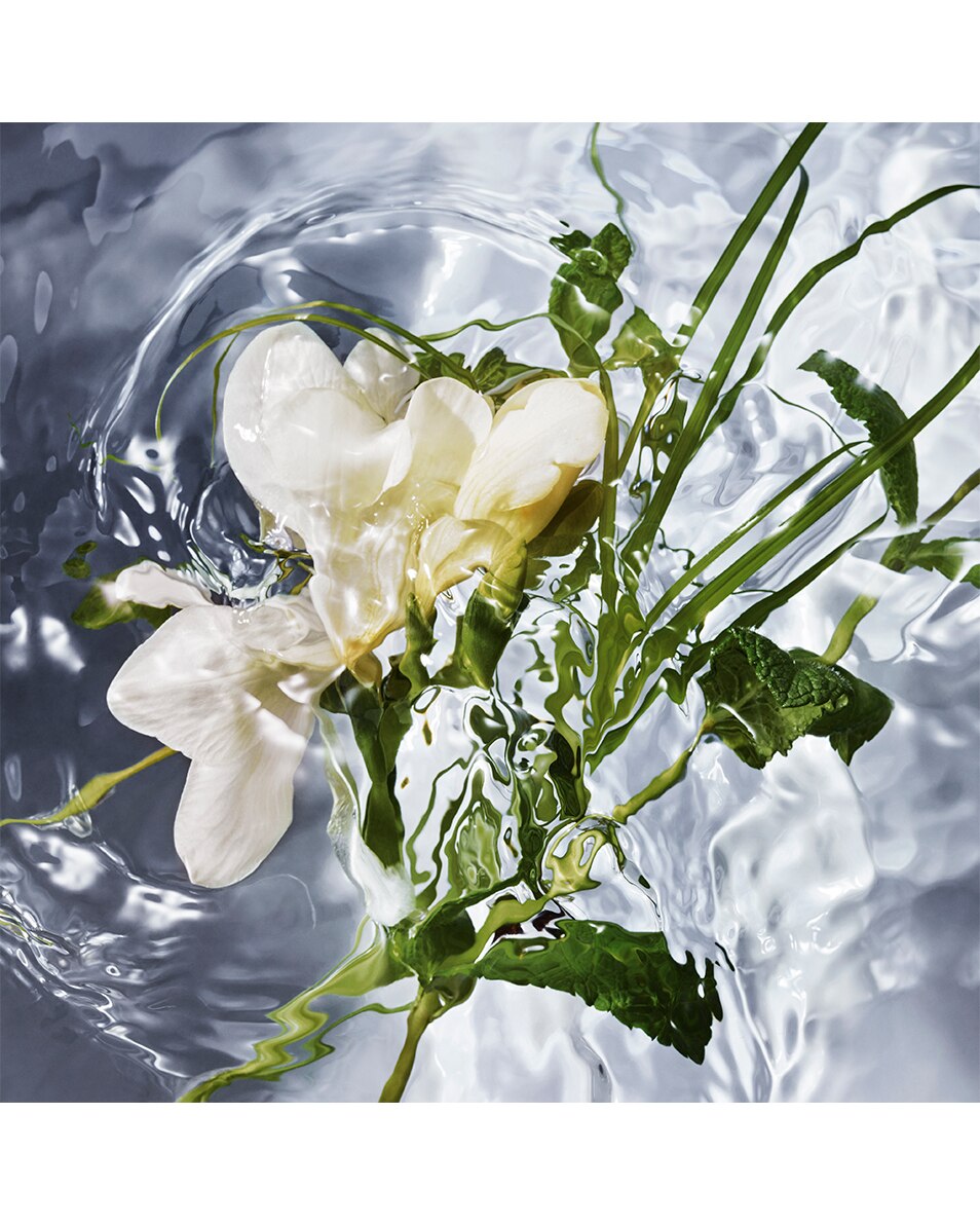 GUERLAIN aqua allegoria HERBA FRESCA – EAU DE TOILETTE