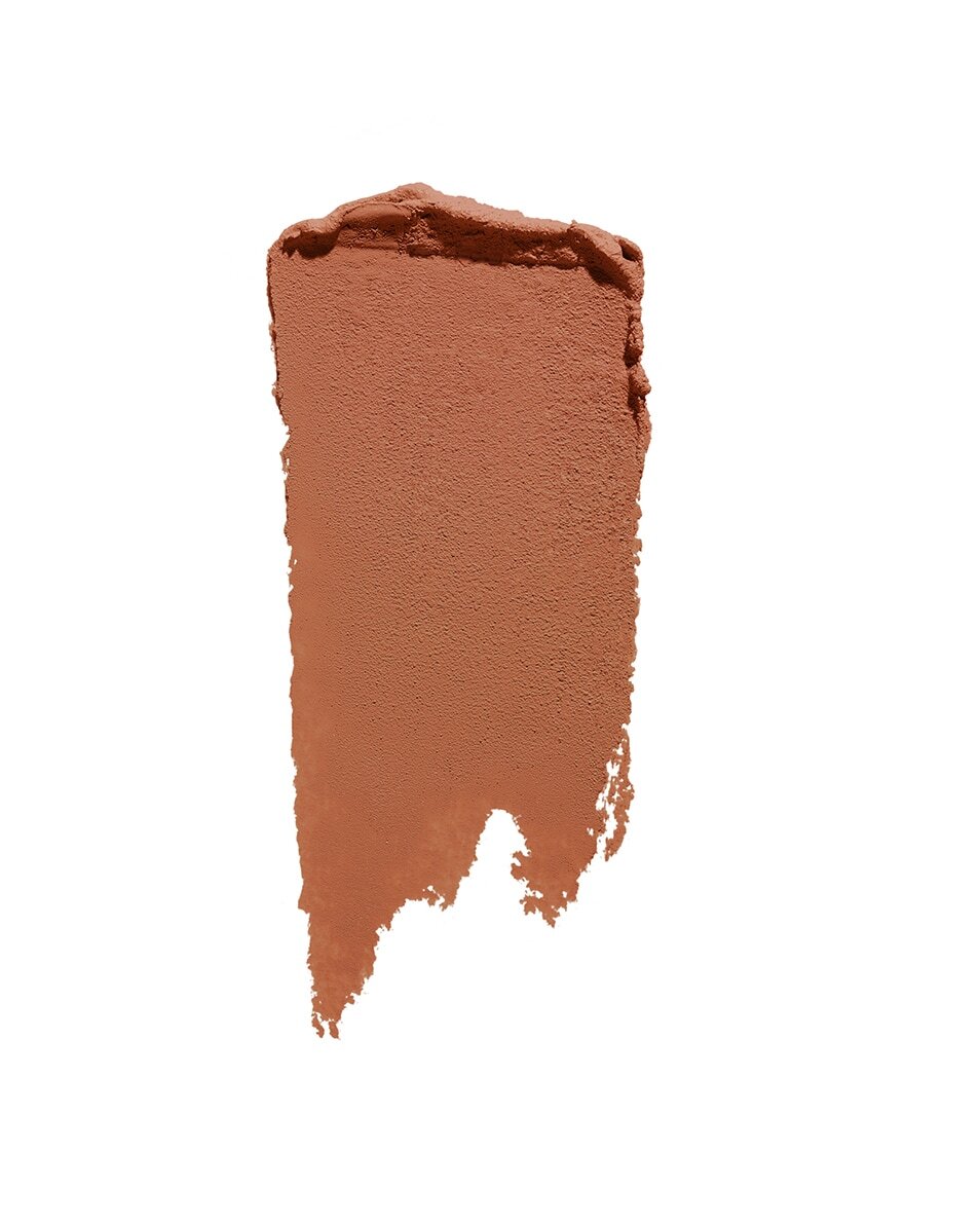 SHISEIDO synchro skin CORRECTING GELSTICK CONCEALER
