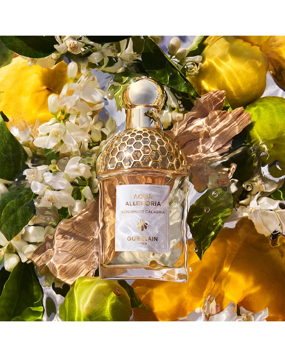 GUERLAIN aqua allegoria BERGAMOTE CALABRIA - EAU DE TOILETTE