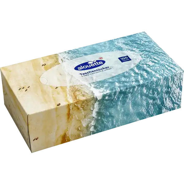 Taschentücherbox
