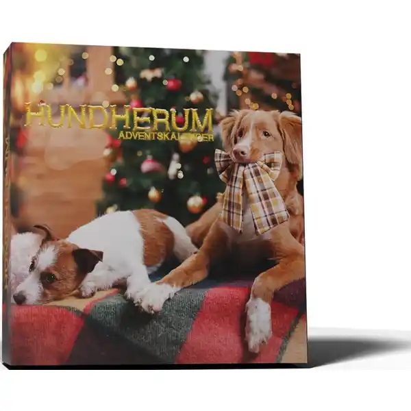 Adventskalender Hundherum 2024