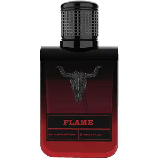 FLAME for him, EdP 100 ml
