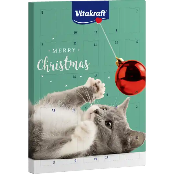 Adventskalender Katze 2024