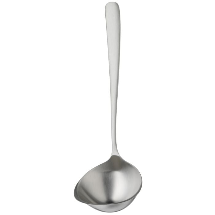 Soup ladle Vision