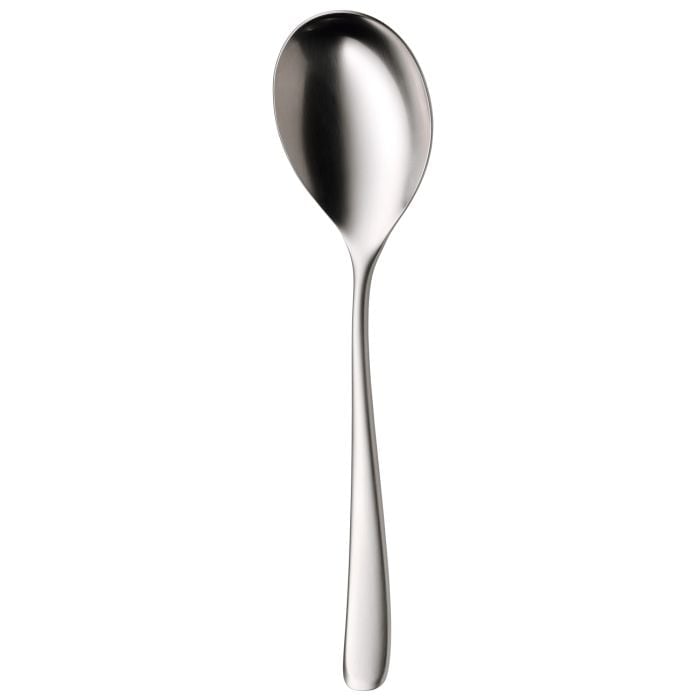 Serving spoon Vision