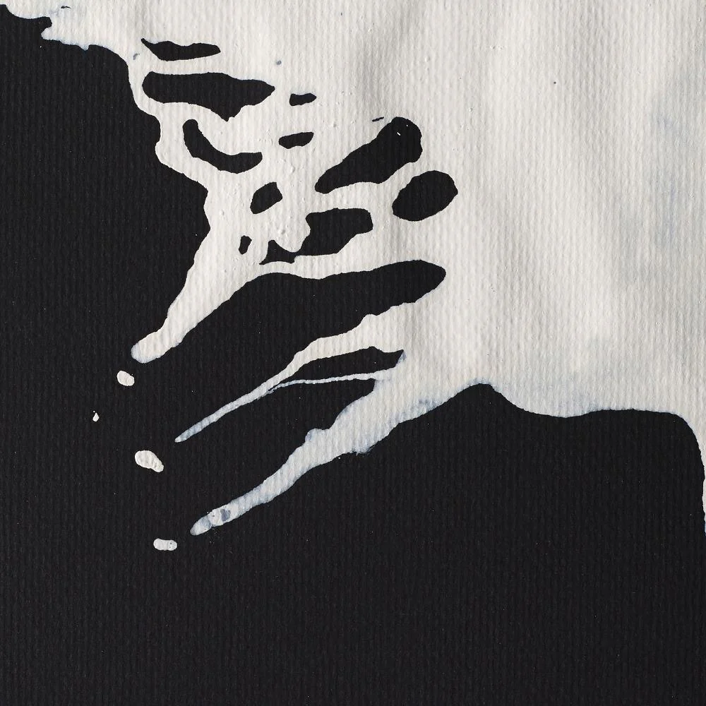 Drawing Ink - White