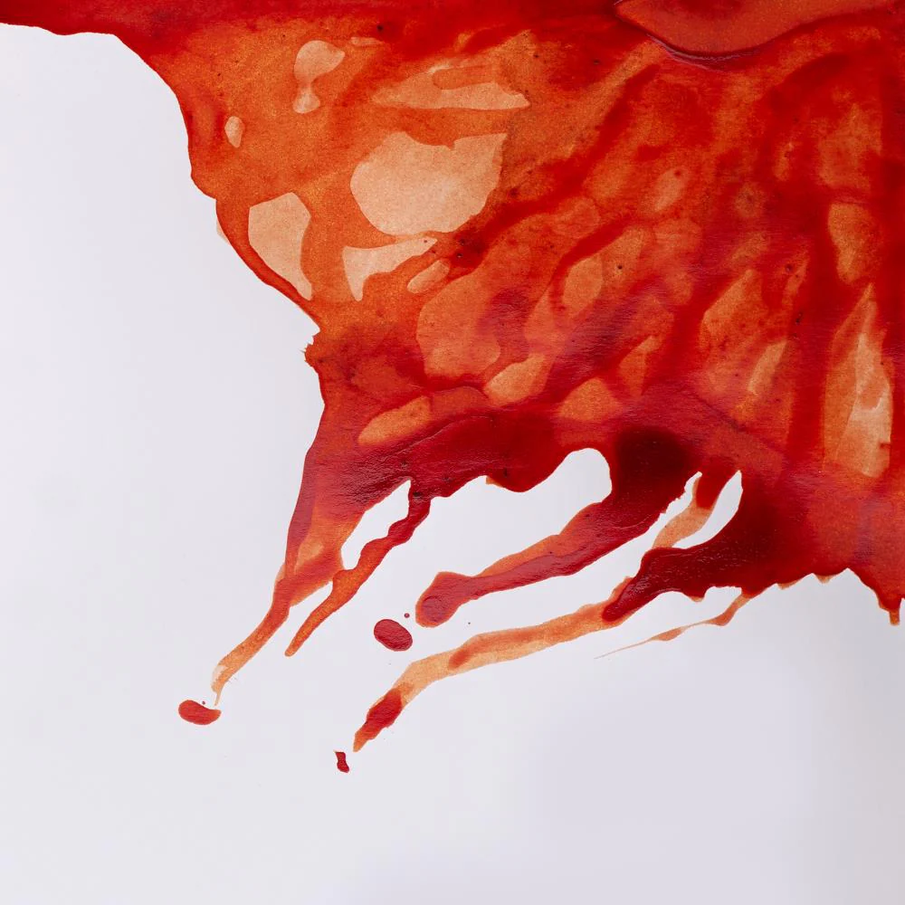 Drawing Ink - Burnt Sienna