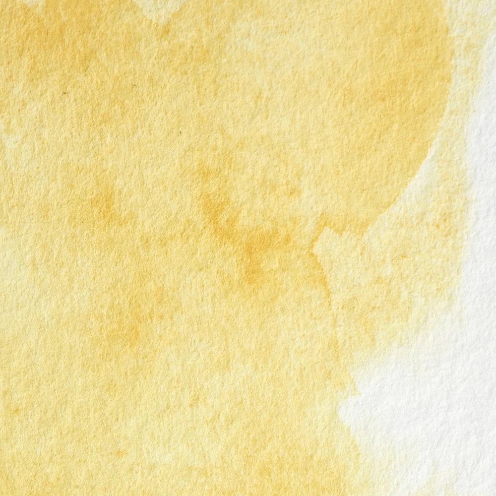 Professional Watercolour - Turner's Yellow