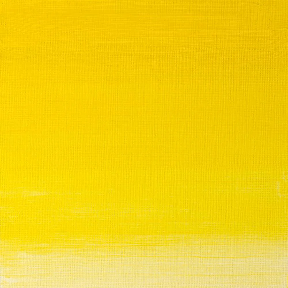 Artists' Oil Colour - Winsor Yellow