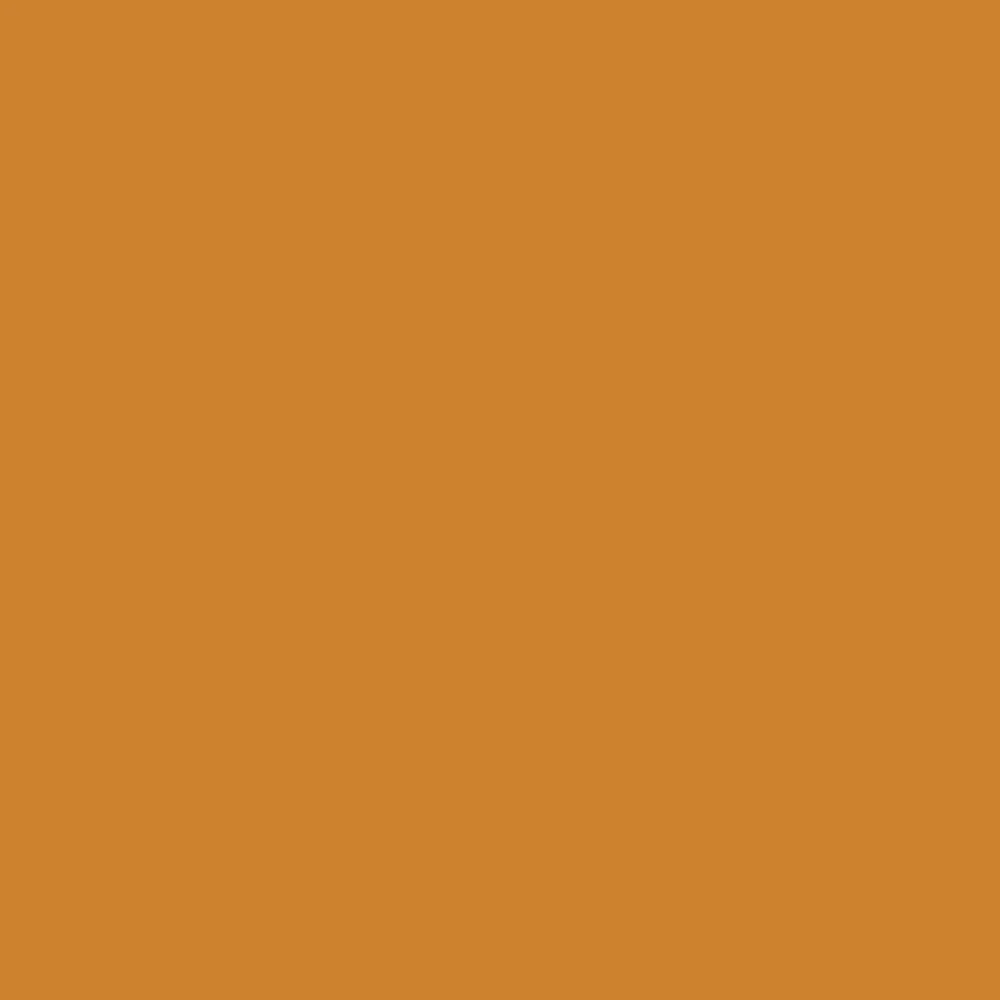 Promarker - Raw Sienna