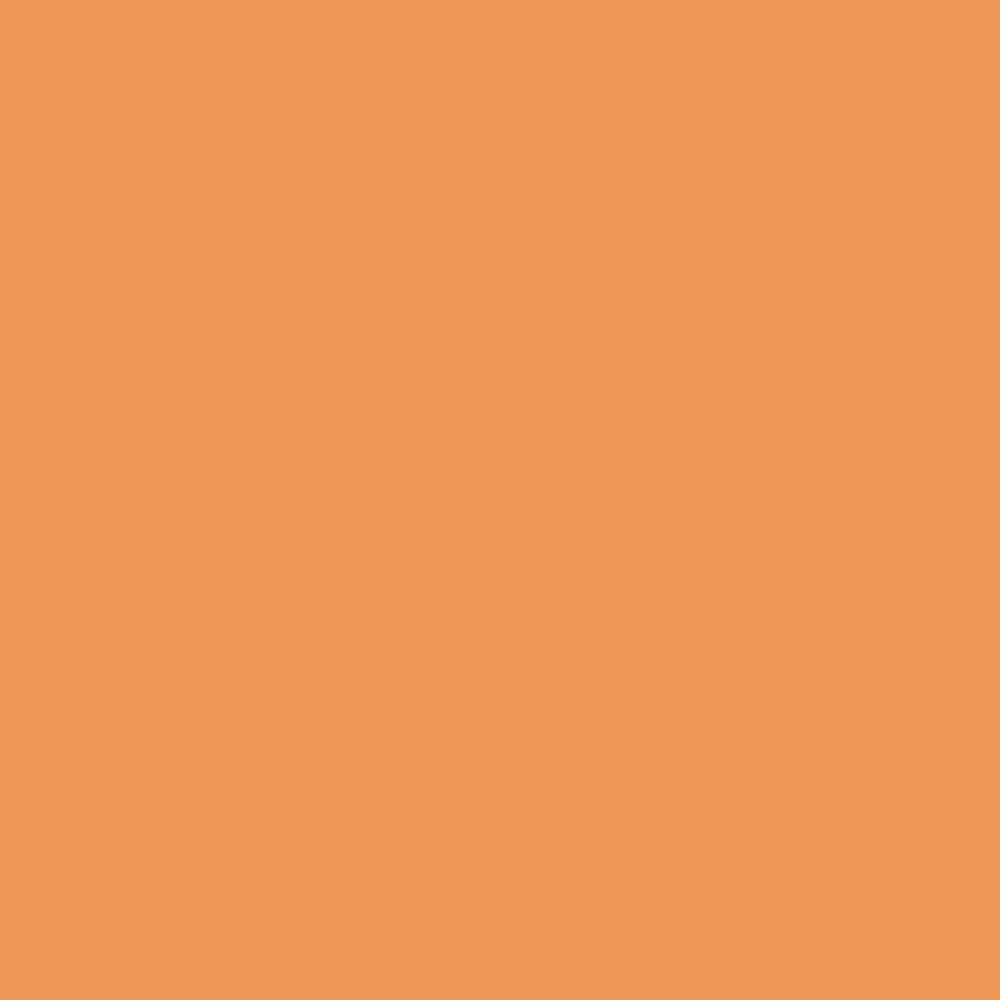 Promarker - Ginger