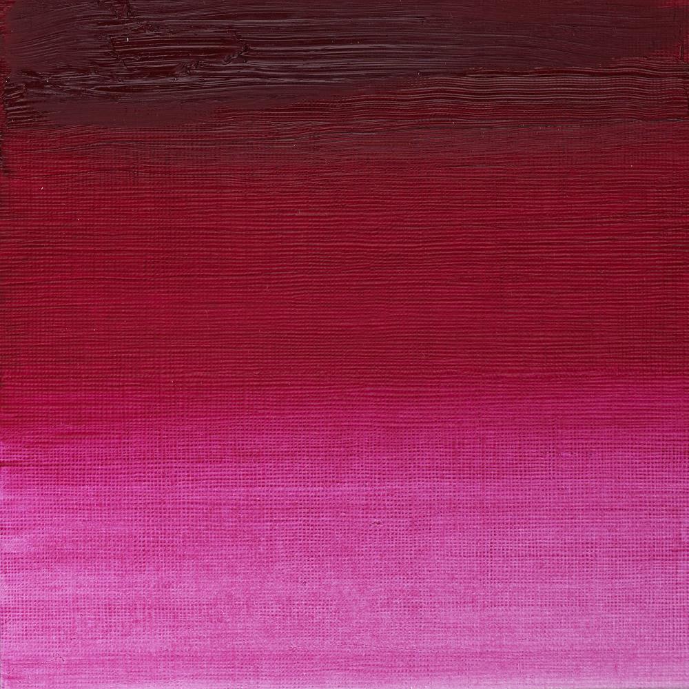 Artists' Oil Colour - Permanent Magenta
