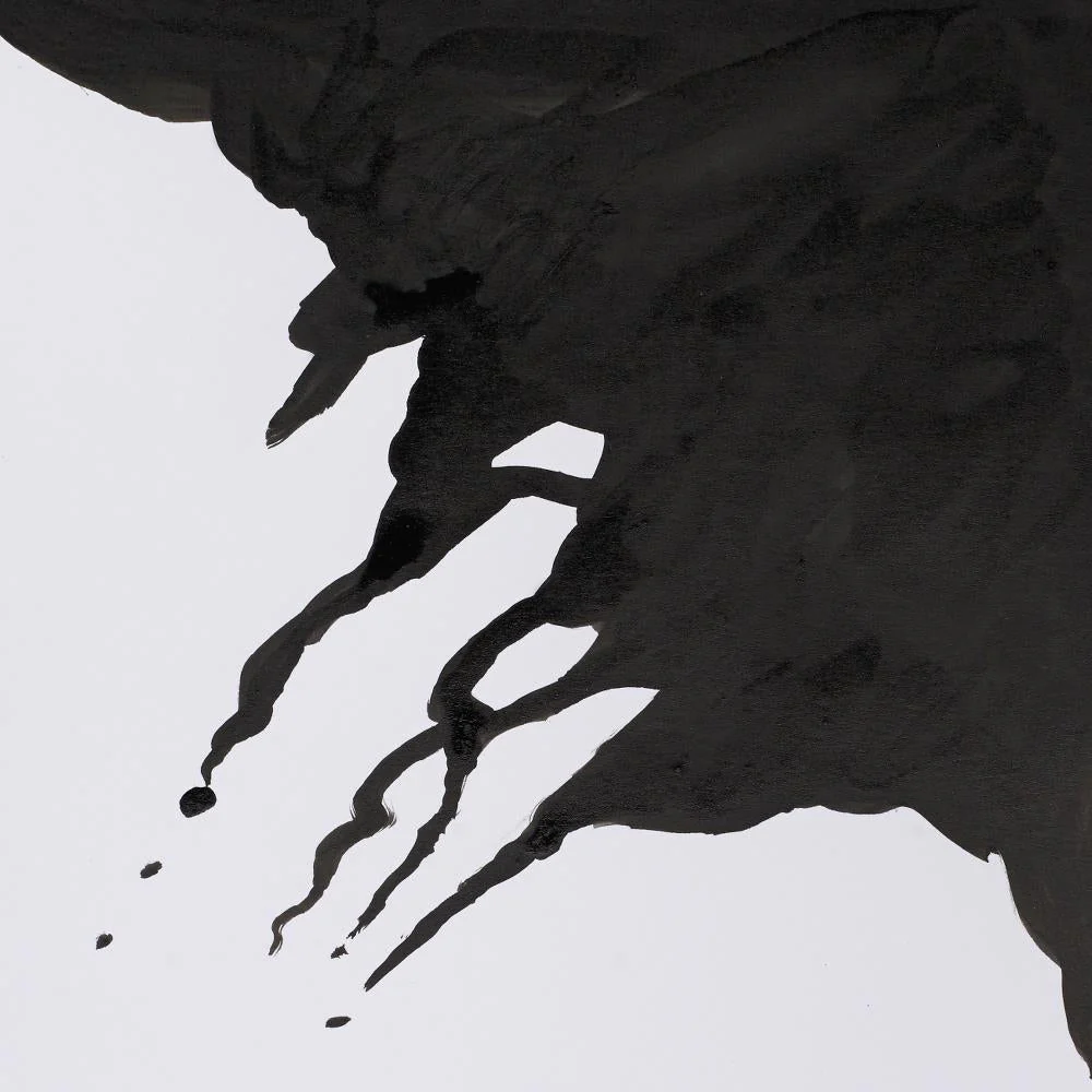 Drawing Ink - Liquid Indian Ink