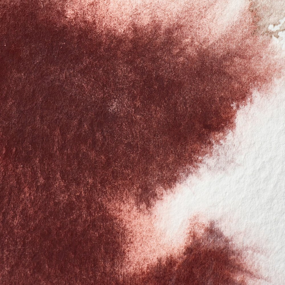 Professional Watercolour - Caput Mortuum Violet