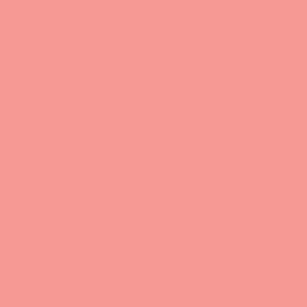 Promarker - Salmon Pink