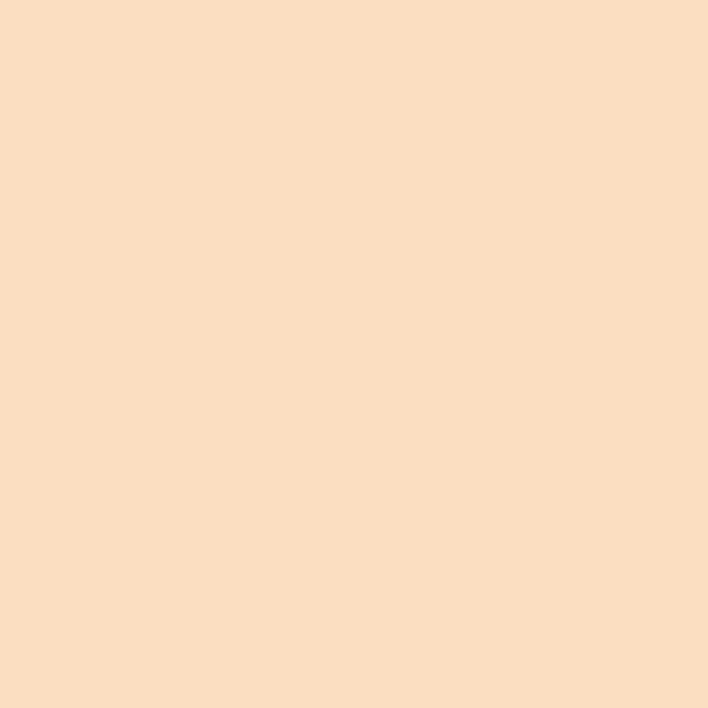 Promarker Brush - Blush