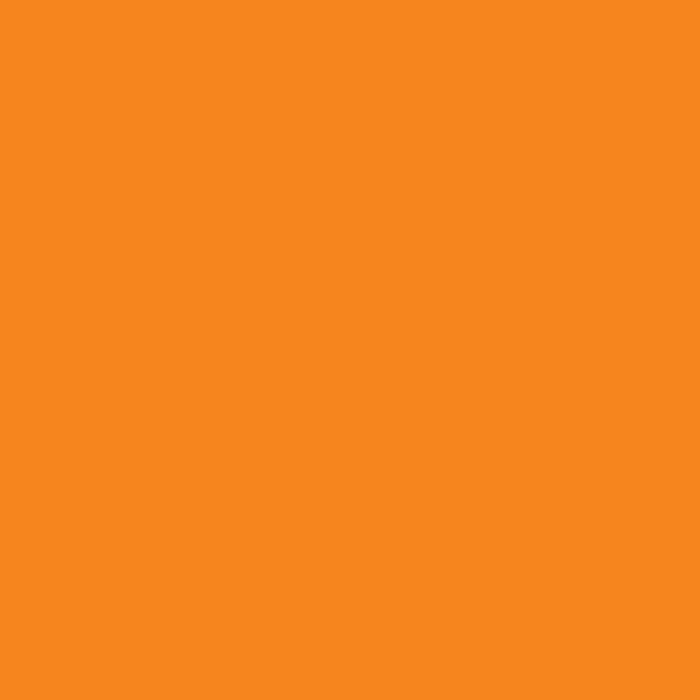 Promarker Brush - Pumpkin