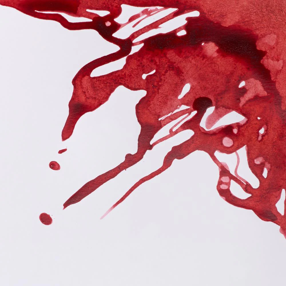 Drawing Ink - Brick Red