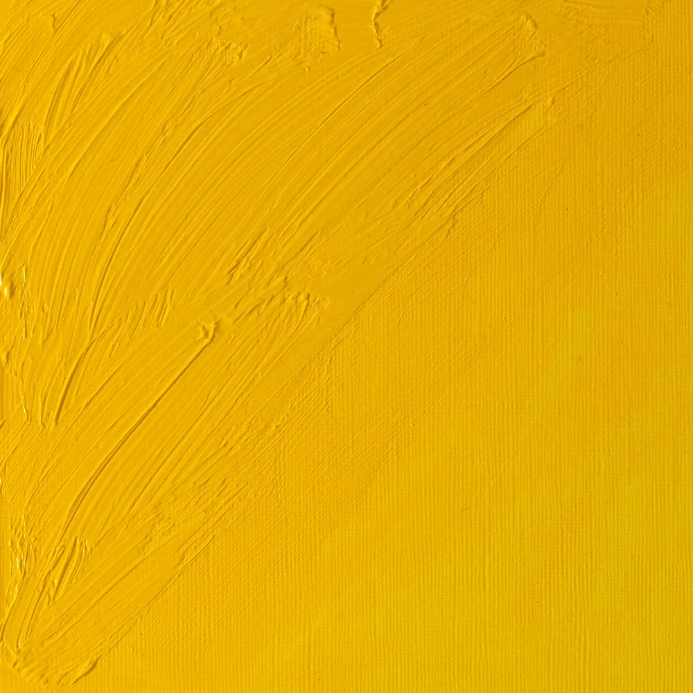 Artists' Oil Colour - Chrome Yellow Hue