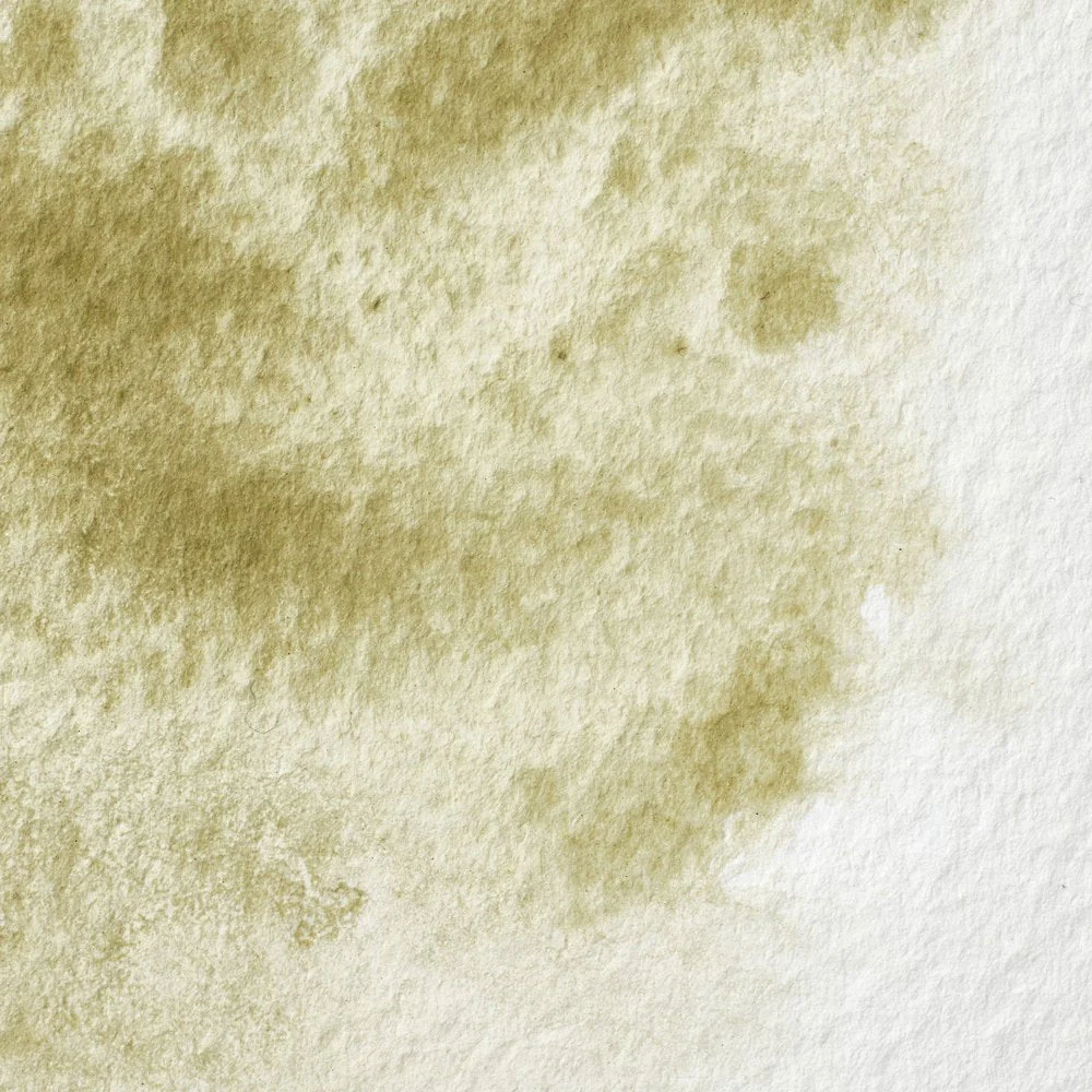 Professional Watercolour - Terre Verte (Yellow Shade)