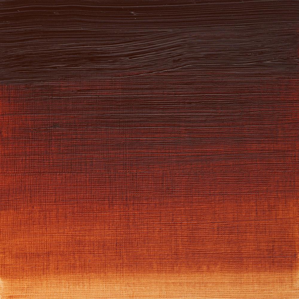 Artists' Oil Colour - Burnt Sienna