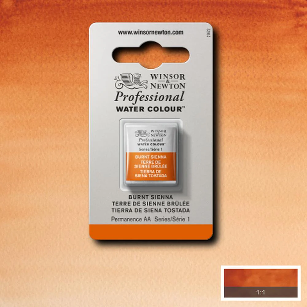 Professional Watercolour - Burnt Sienna