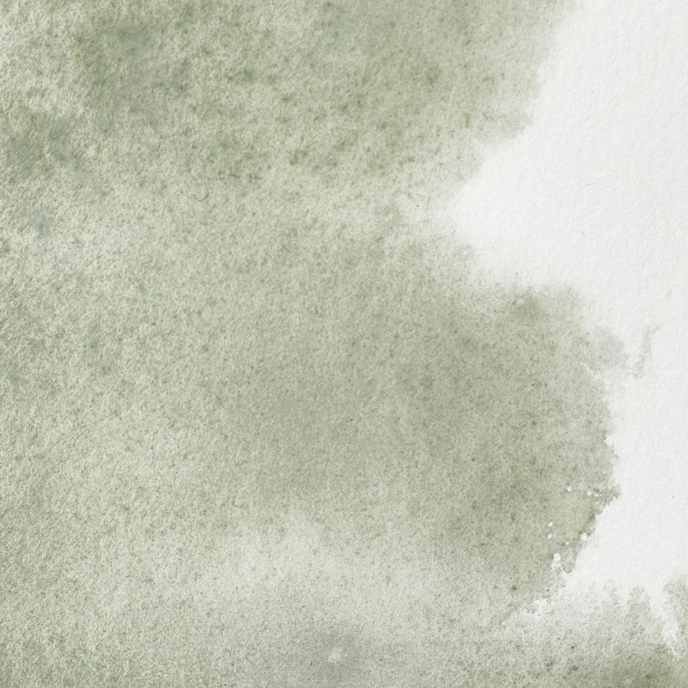 Professional Watercolour - Davy's Gray