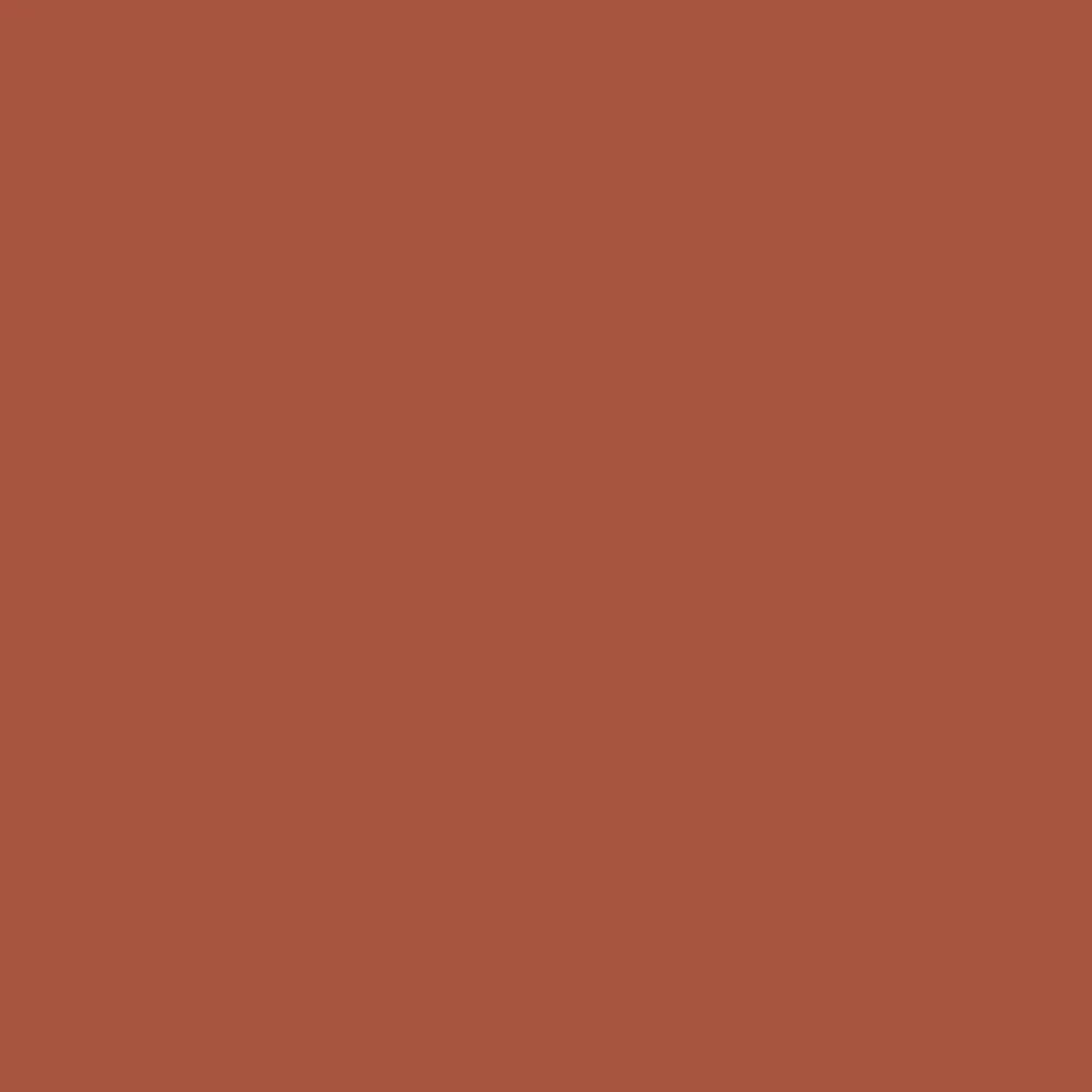 Promarker - Burnt Umber
