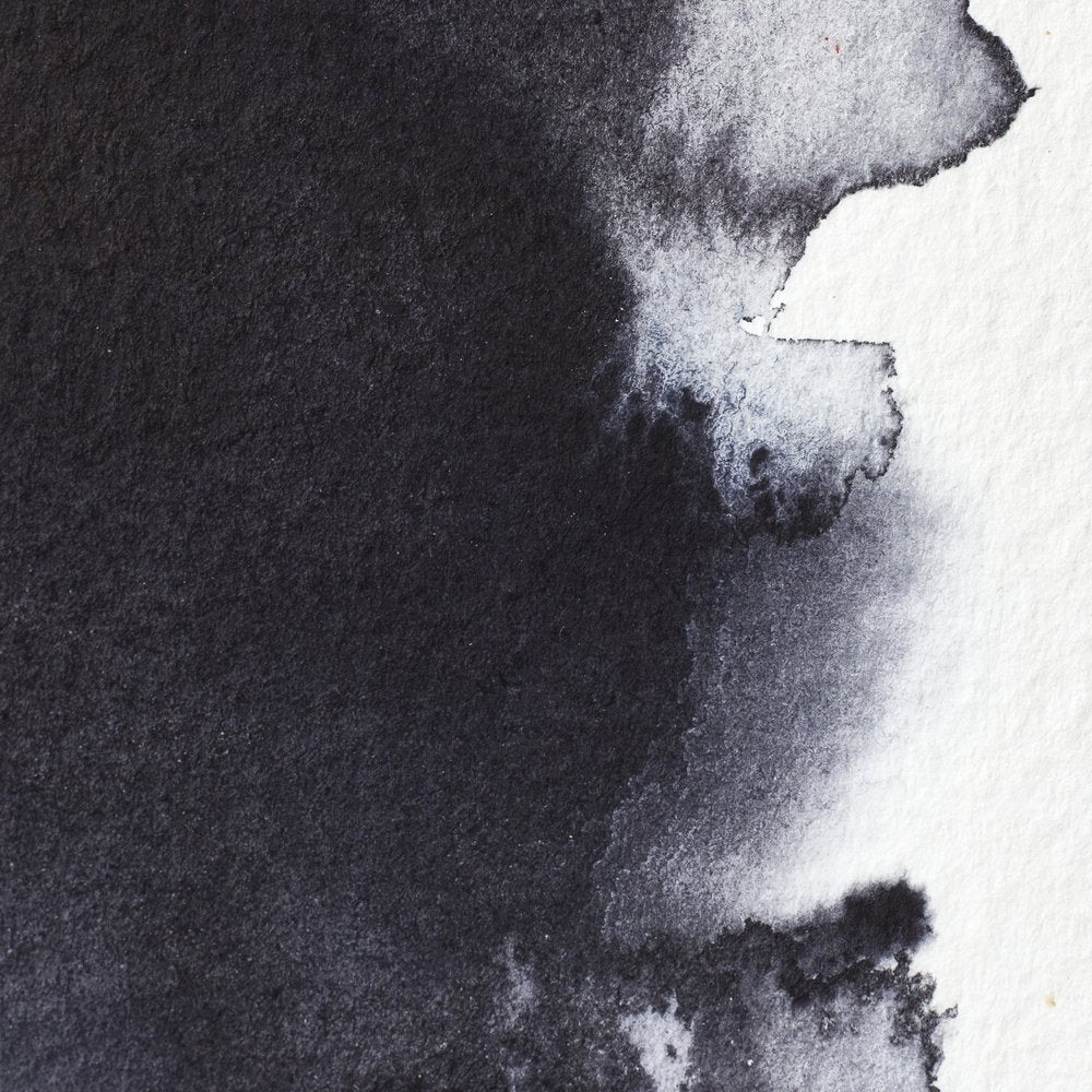 Professional Watercolour - Neutral Tint