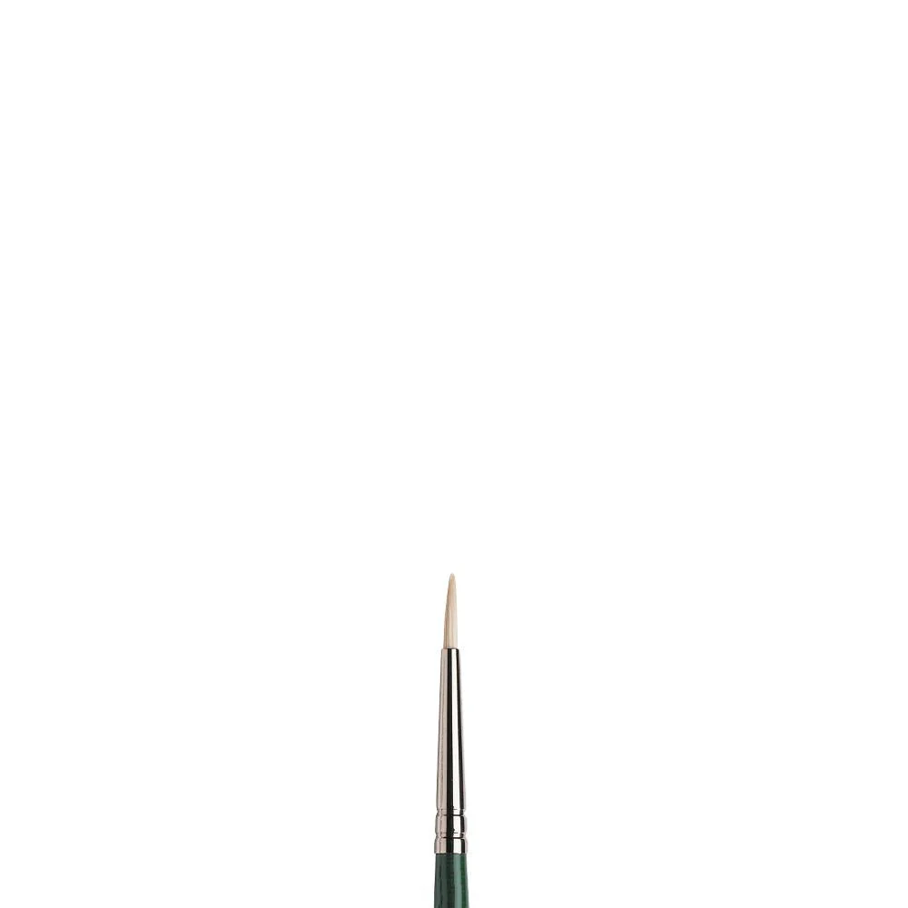 Winton Hog Brush - Round