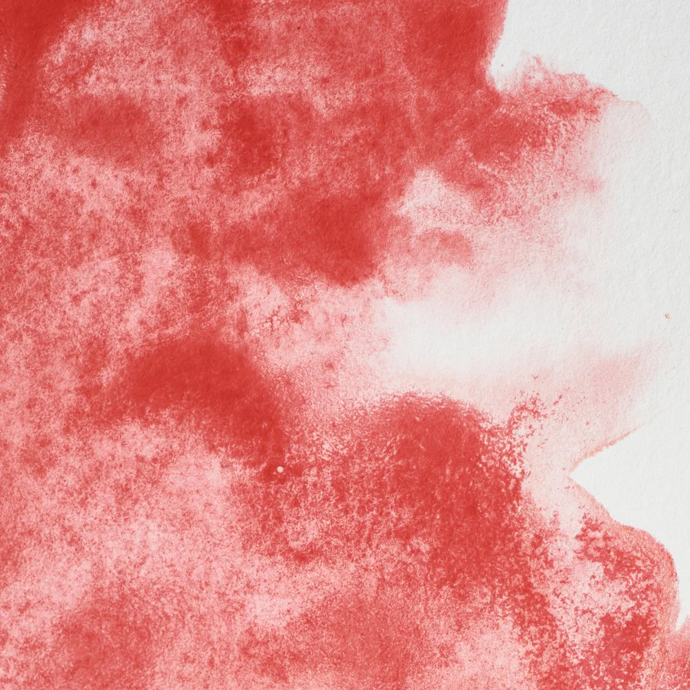 Professional Watercolour - Rose Dore
