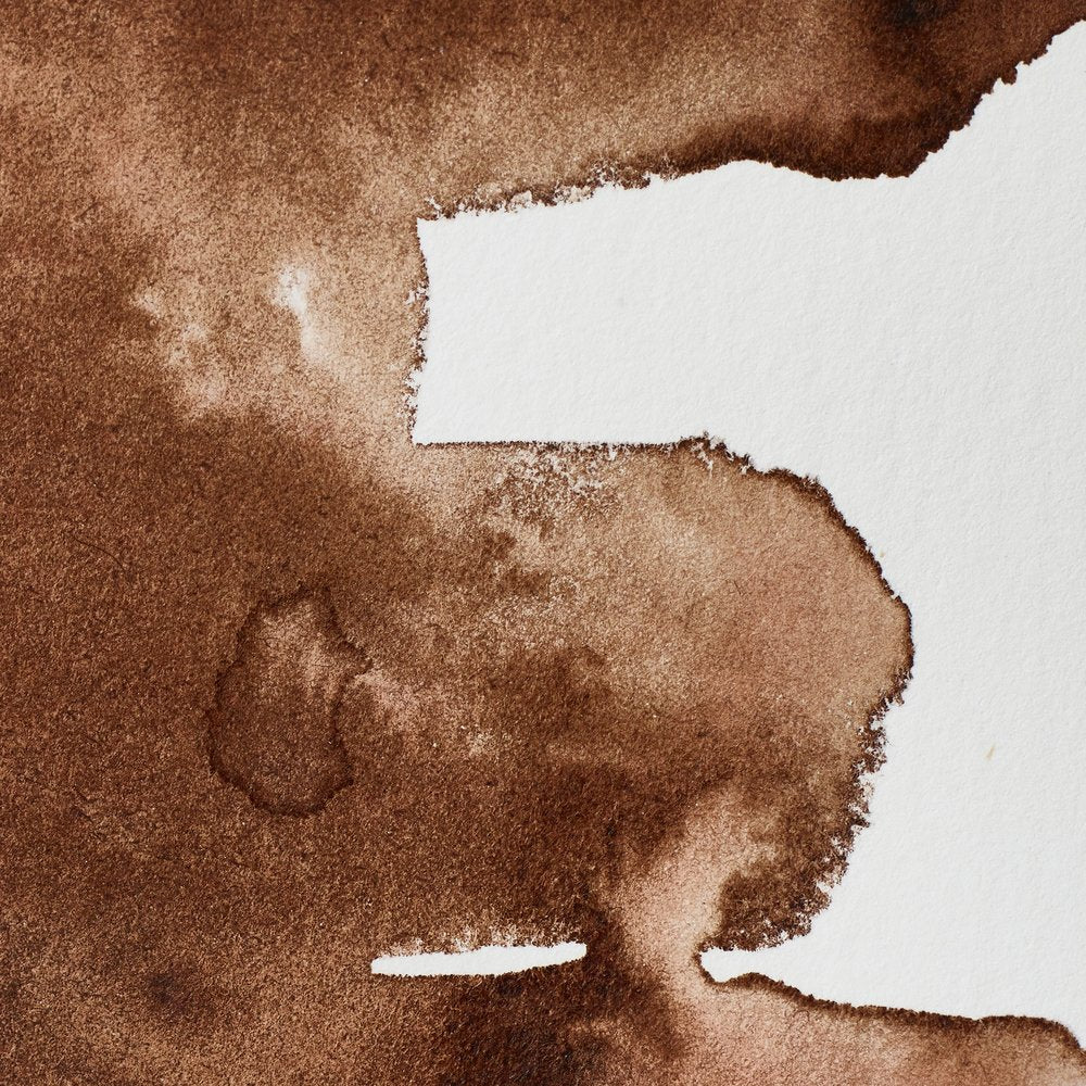 Professional Watercolour - Vandyke Brown