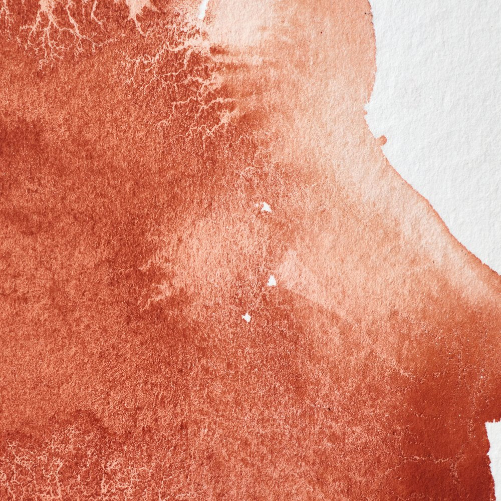 Professional Watercolour - Light Red