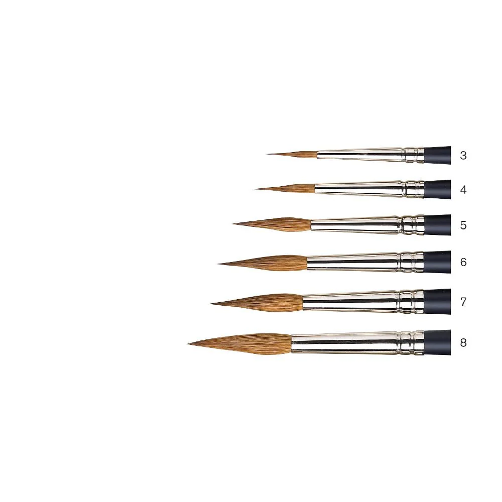 Sable Brush - Pointed Round
