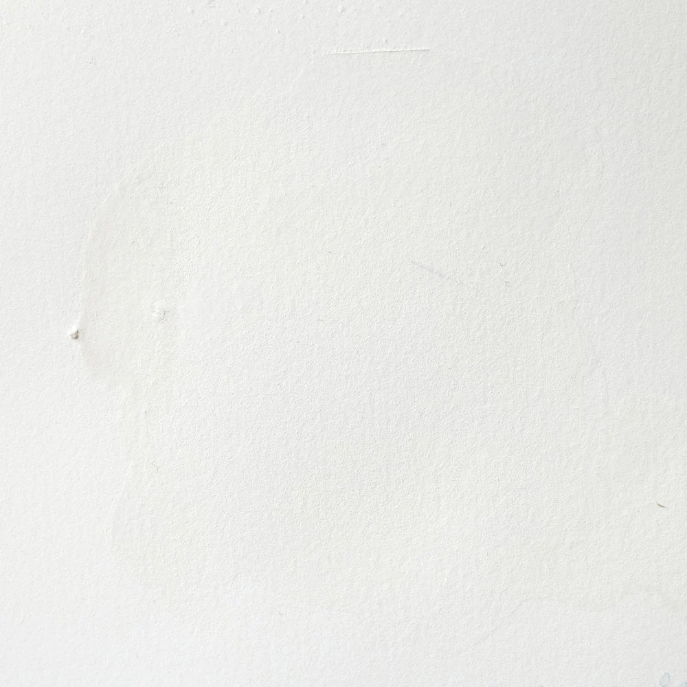 Professional Watercolour - Titanium White (Opaque White)