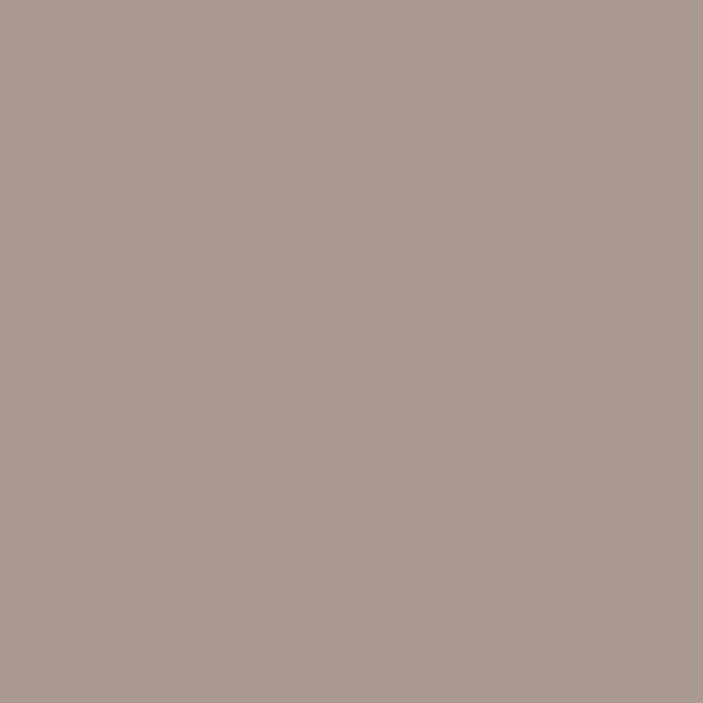 Promarker Brush - Warm Grey 3