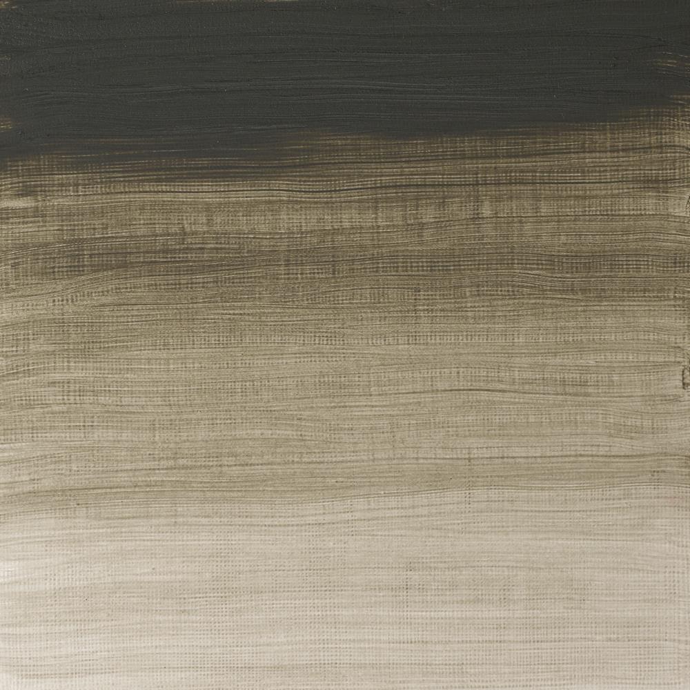 Artists' Oil Colour - Davy's Gray
