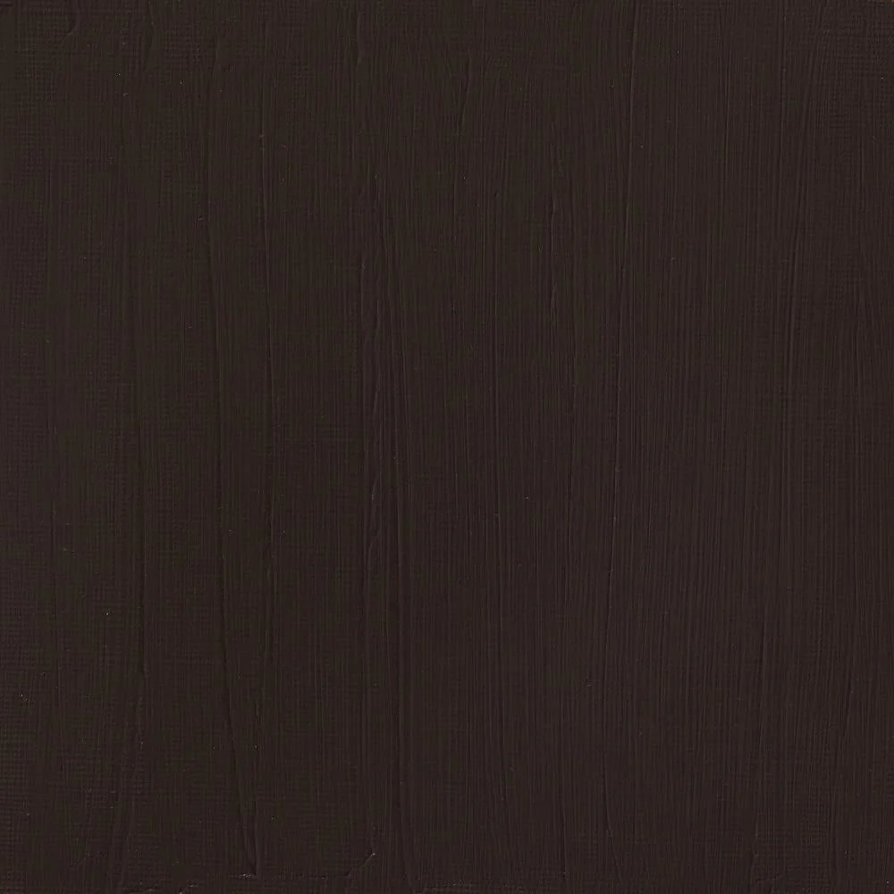 Professional Acrylic - Burnt Umber