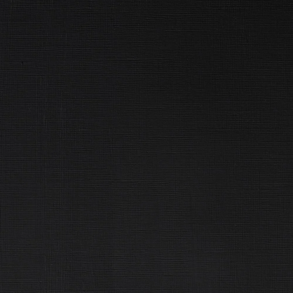 Professional Acrylic - Ivory Black
