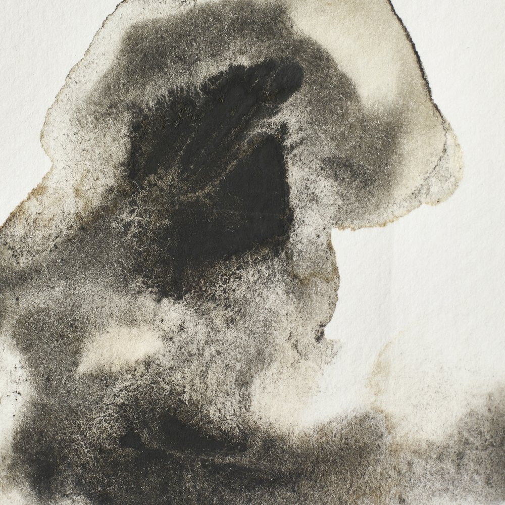 Professional Watercolour - Ostwald Grey