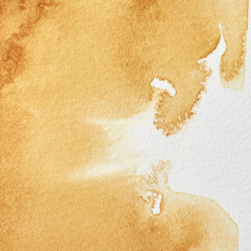 Professional Watercolour - Raw Sienna