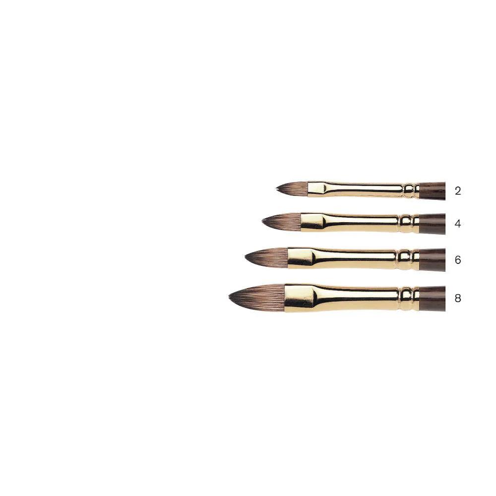 Monarch Brush - Short Filbert