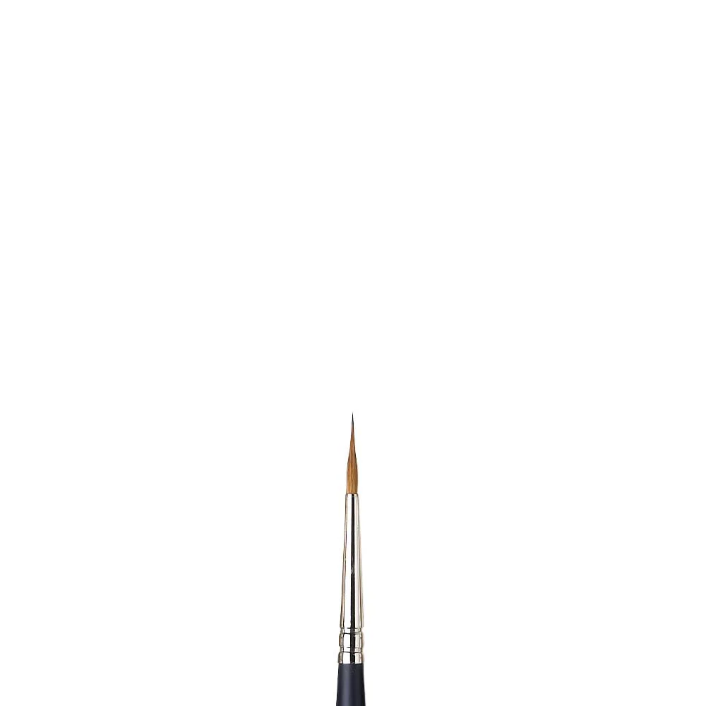 Sable Brush - Pointed Round